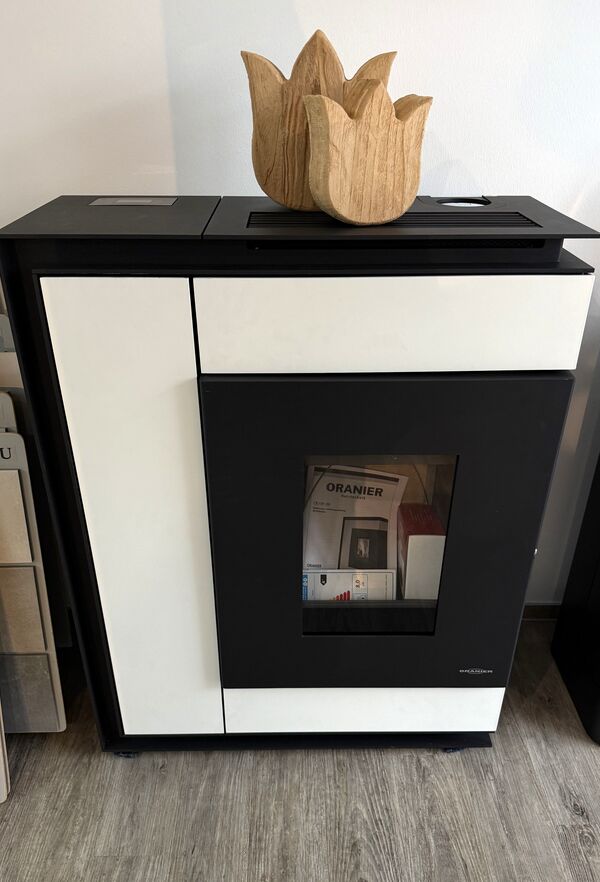 (38) Oranier Boreas Pelletofen.jpeg